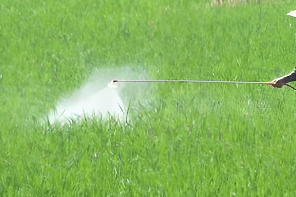 戊唑醇的作用,具有铲除、防治病害等功能