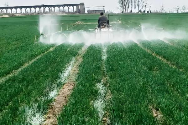 戊唑醇的作用,具有铲除、防治病害等功能