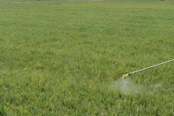 戊唑醇的作用,具有铲除、防治病害等功能