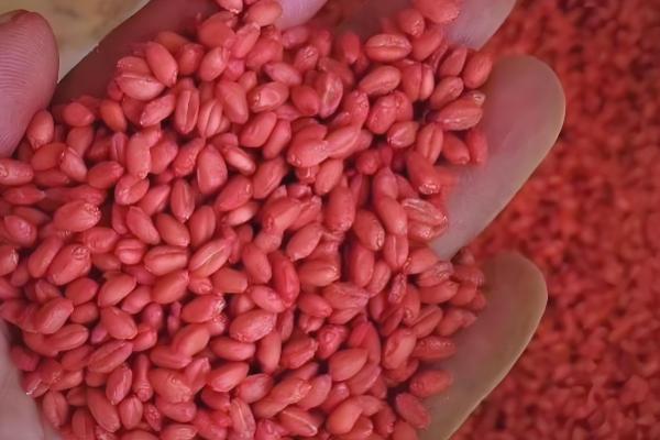 戊唑醇的作用,具有铲除、防治病害等功能