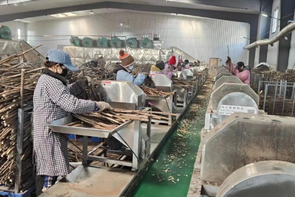 刺五加的田间管理方法,每个生育期应追肥2-3次