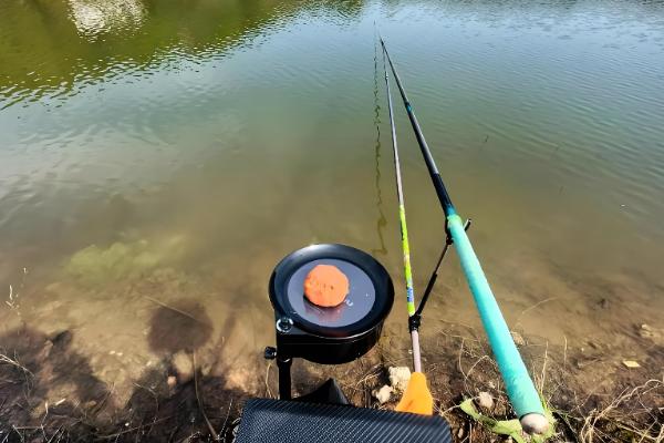 鲫鱼饵料推荐，推荐野战蓝鲫、疯钓鲫等