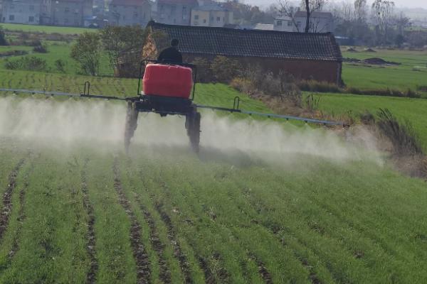 百菌清如何使用，刚发病时7天左右喷洒一次