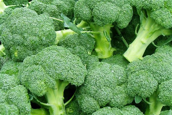 怎么挑选优质西兰花,可以看颜色、掂重量等