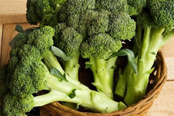 怎么挑选优质西兰花,可以看颜色、掂重量等