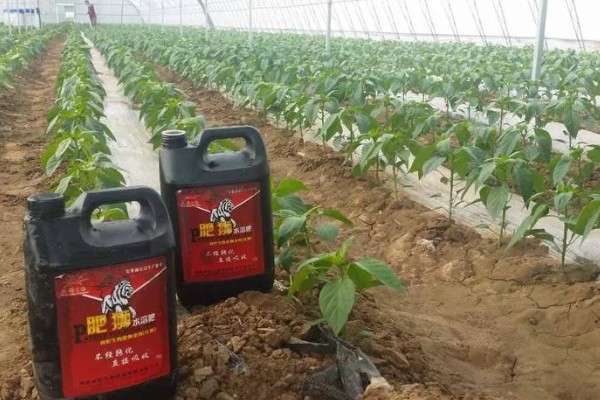 有哪些不宜混施的肥料，主要有以下9种