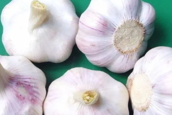 大蒜空心的原因，可能是种性退化所致