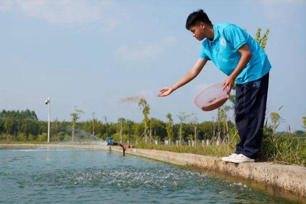 多宝鱼的养殖技术，选择体形完整、体色正常的鱼苗