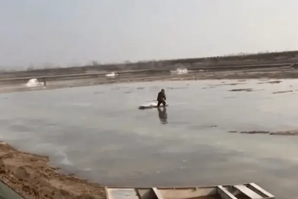 多宝鱼的养殖技术，选择体形完整、体色正常的鱼苗