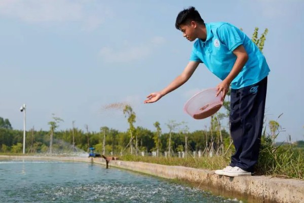 波士顿龙虾怎样养活，温度控制在18-32℃