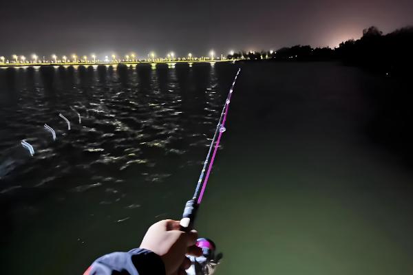 鲅鱼能不能夜钓，要在靠近岸边的地方作钓
