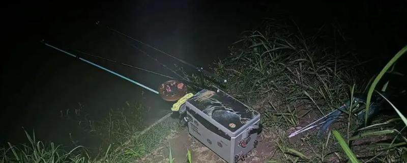 鲅鱼能不能夜钓，要在靠近岸边的地方作钓