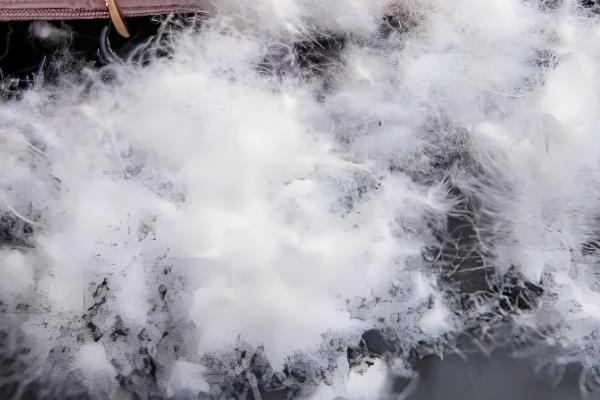 鹅有什么副产品，常见鹅绒、鹅毛、鹅蛋等种类