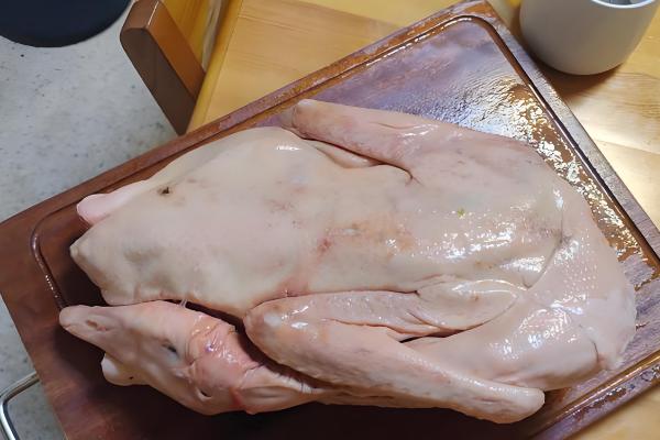 鹅有什么副产品，常见鹅绒、鹅毛、鹅蛋等种类