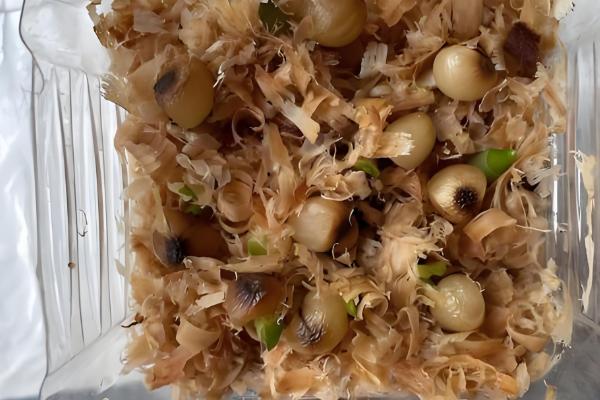 君子兰的种植方法，可在春季和夏季播种