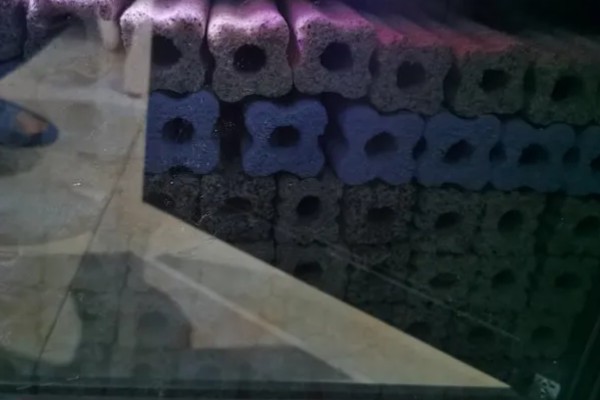 细菌屋能否不换，轻易更换会破坏水体的生态系统