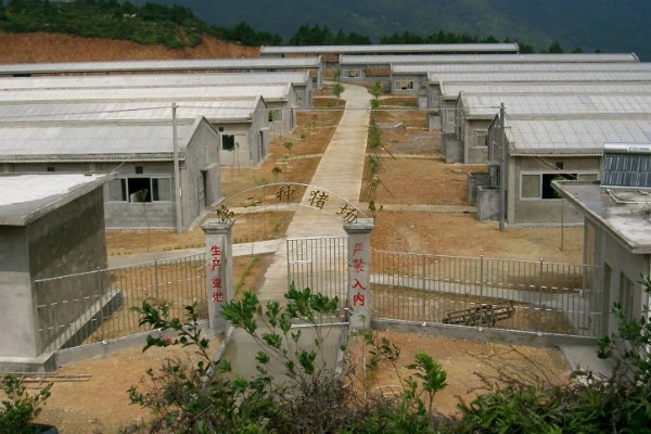 母猪蹄裂站不起来如何治疗，可以用高锰酸钾溶液冲洗