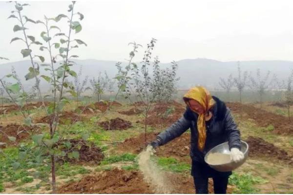 如何鉴别化肥，可以闻气味、看包装等