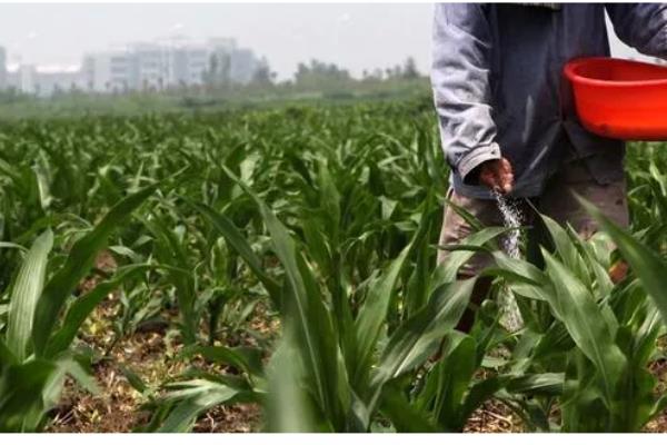 如何鉴别化肥，可以闻气味、看包装等