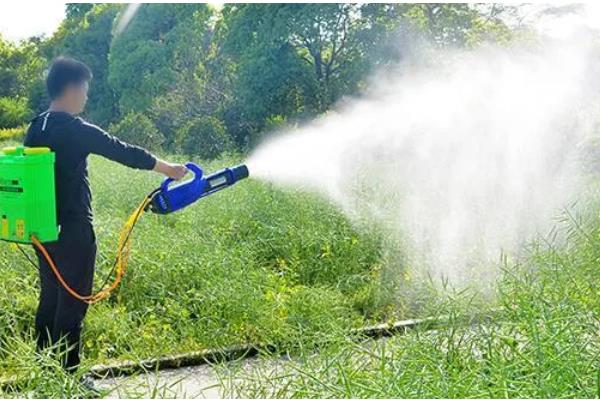 哪些药可以防治黄叶病，多菌灵、醚菌酯等药物均可使用