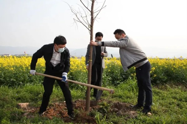 植树的意义，可以保护生态
