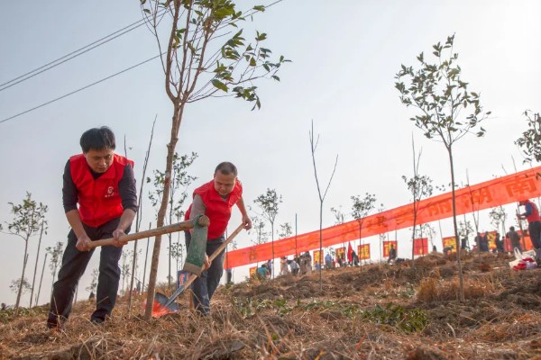 植树的意义，可以保护生态