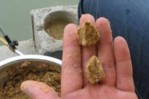 黑坑钓罗非鱼选择哪种饵料，蚯蚓和动物内脏是适宜选择