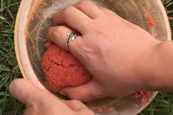 黑坑钓罗非鱼选择哪种饵料，蚯蚓和动物内脏是适宜选择