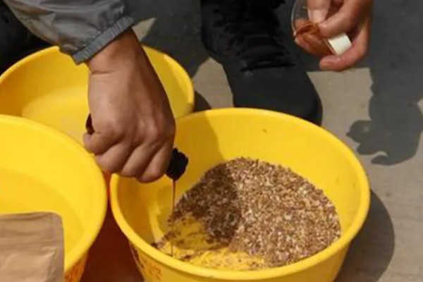 黑坑钓罗非鱼选择哪种饵料，蚯蚓和动物内脏是适宜选择