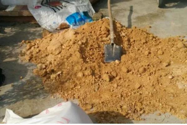 用多菌灵对土壤消毒过多久才能播种，用药浓度低只需间隔1天