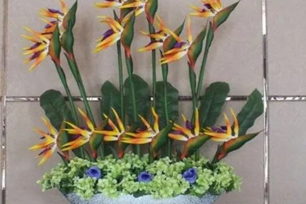 鹤望兰的开花时间，一般在冬季开放