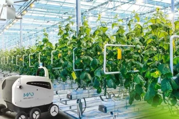 智能农业的基础，是农业数字化