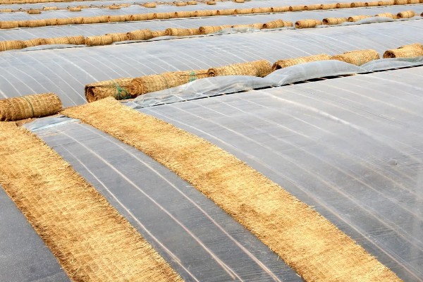 智能农业的基础，是农业数字化