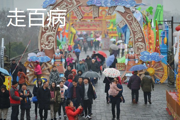 元宵节有哪些花开放，有桃花、梅花等