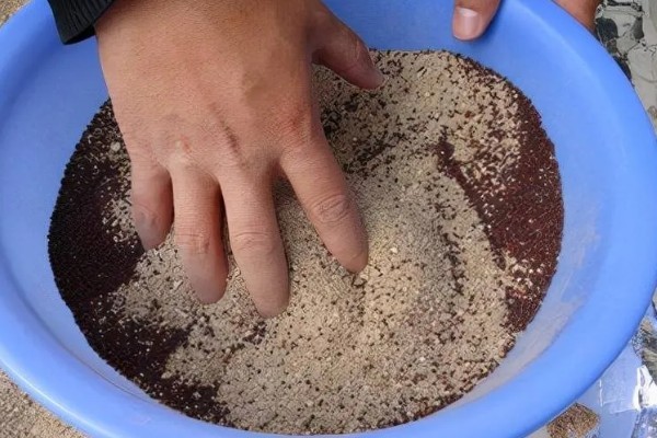 大葱的育苗时间和品种选择，春季于3-4月份播种育苗