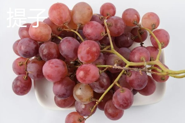 葡萄和提子的区别,外形和口感均不同