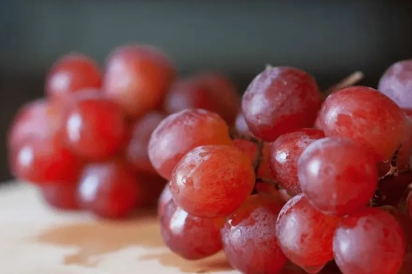 葡萄和提子的区别,外形和口感均不同