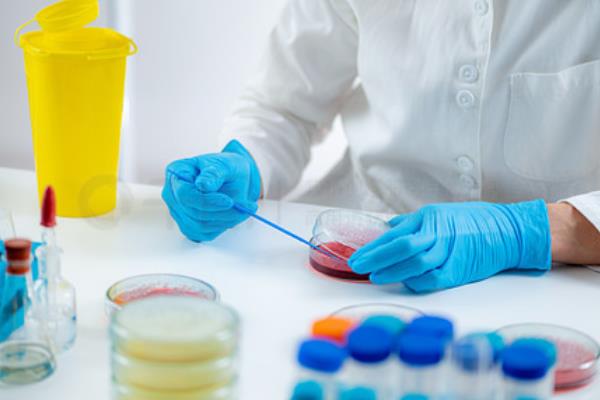 微生物如何接种，可以划线接种、三点接种等