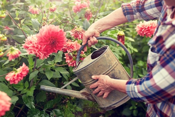 怎么使用敌百虫，根据防治对象决定用法