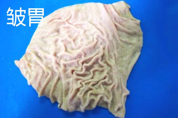 牛的胃共有几个，分为瘤胃、网胃、瓣胃和皱胃