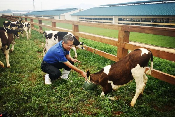 牛的胃共有几个，分为瘤胃、网胃、瓣胃和皱胃