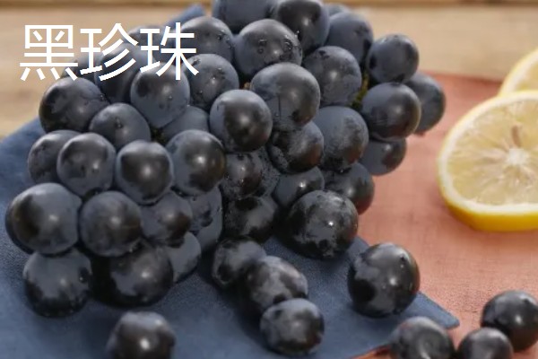 哪些提子比较甜，包括美人指、温克等品种