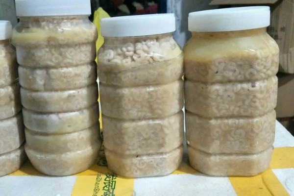 马蜂蛹泡酒多长时间能喝，一般泡7-10天即可