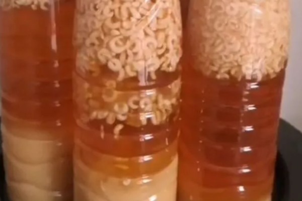 马蜂蛹泡酒多长时间能喝，一般泡7-10天即可