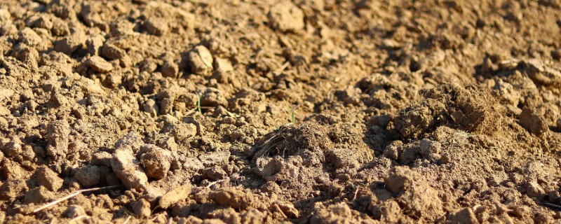 土壤的容重一般为多少，一般在1-1.5克/立方厘米