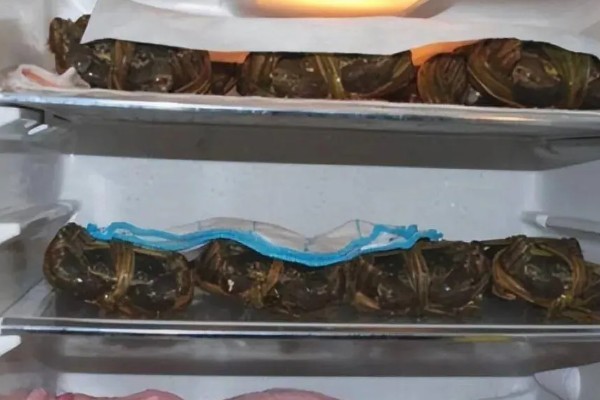 如何保存螃蟹，可以用浅水养