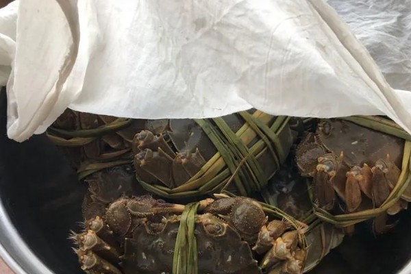 如何保存螃蟹，可以用浅水养