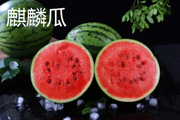 种西瓜的前景，当前已经趋于饱和