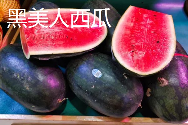 种西瓜的前景，当前已经趋于饱和