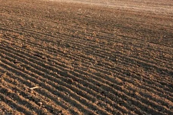 土壤的容重一般为多少,一般在1-1.5克/立方厘米